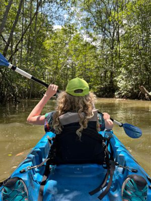 Kayak through mangrove
